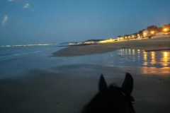 IMG-20231008-WA0207