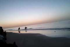 IMG-20231008-WA0208