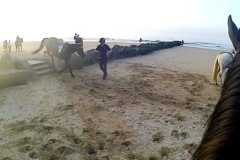 IMG-20231010-WA0046