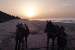 IMG_20231007_190658
