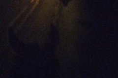 IMG_20231007_203323