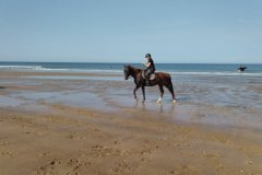 IMG_20231008_122206