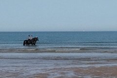 IMG_20231008_122413