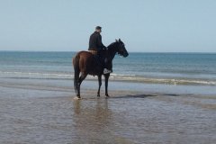 IMG_20231008_123427