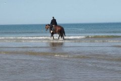 IMG_20231008_123513