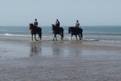 IMG_20231008_123617