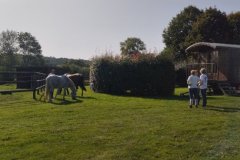 IMG_20231008_132710