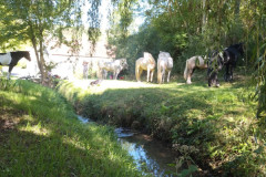 IMG_20230924_144750