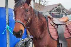 IMG-20240114-WA0050