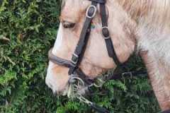 IMG-20240114-WA0064