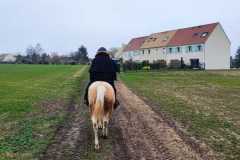 IMG-20240114-WA0067