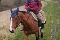 IMG-20240114-WA0089