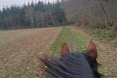 IMG-20240114-WA0092