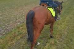 IMG-20240114-WA0097