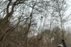IMG-20240114-WA0134