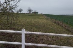 IMG_20240114_114522