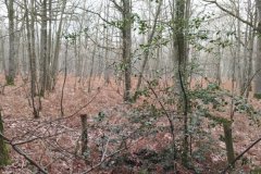 IMG_20240114_121314