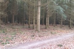 IMG_20240114_121320