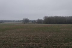 IMG_20240114_122404