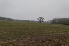 IMG_20240114_122640