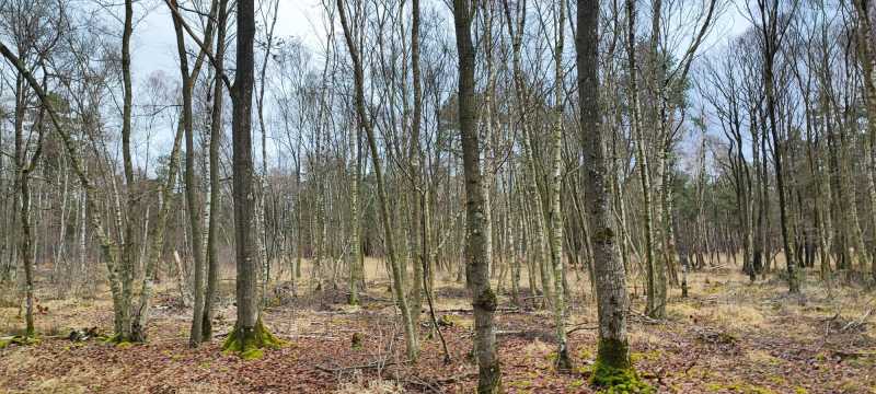 IMG-20240204-WA0111