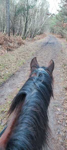 IMG-20240204-WA0127
